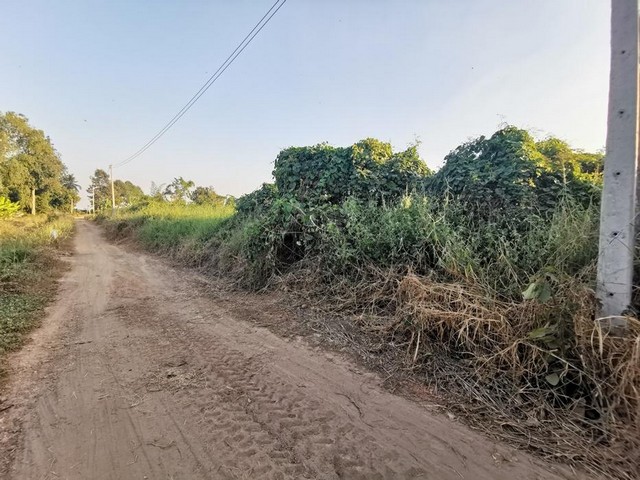 ขาย ที่ดินเปล่า บึงสามัคคี ถนน สลกบาตร-บึงสามัคคี กำแพงเพชร  PTT00181