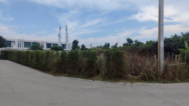 ขายที่ดิน 264 ตร.วา ทำเลดีในย่านชุมชนบางแก้ว บางพลี ใกล้เมกะบางนา  เดินทางสะดวกด้วยถนน กาญจนาภิเษกและบางนา-ตราด ใกล้ทางขึ้นลงทางด่วน  ZTK232