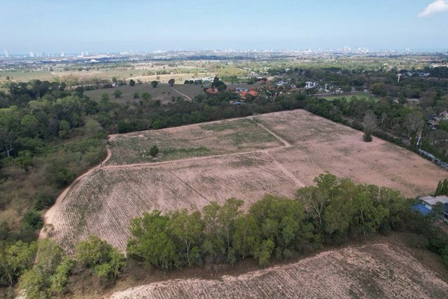 TEL:088-559 5199 คุณเอLine:https://line.me/ti/p/C0eGe0whLXขายที่ดินแปลงสวย แปลงใหญ่ ติดสนามกอล์ฟ สยามคันทรีคลับ พัทยาขนาดพื้นที่ 38 ไร่ 30 ตร.ว.ราคา 155,000,000 บาทโฉนด ถือครองนามคนไทย พร้อมโอนค่าใช้จ่ายวันโอน ผู้ซื้อ–ผู้ขาย 50/50จุดเด่นที่ดิน- ที่ดินเปล่าแปลงใหญ่ ติด สนามกอล์ฟ สยามคันทรีคลับ- วิวสวย ทำเลหรู บรรยากาศสงบ- รายล้อมด้วยสิ่งอำนวยความสะดวกครบครัน- ถนนหลัก และมอเตอร์เวย์- โรงเรียนนานาชาติ- แ