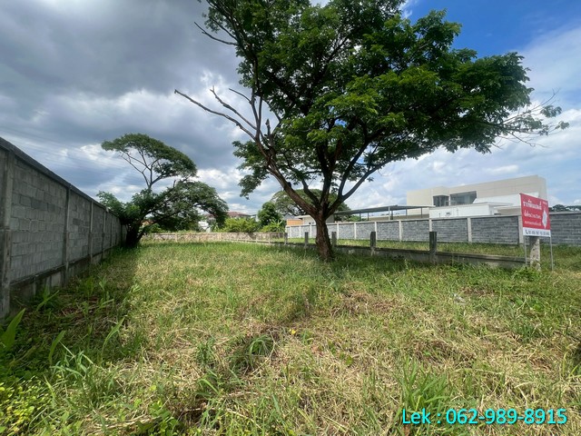 ขายที่ดิน  พัฒนาการ 69 เนื้อที่ 213 ตรว. ถมแล้วติดถนนเมน ราคาดีมาก รูปแปลงสวย