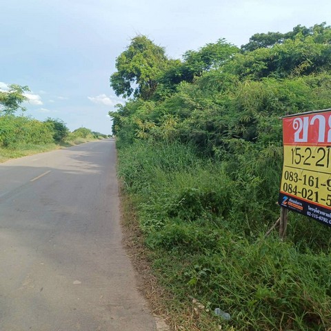 ขายที่นาสวย 15-2-21 ไร่  ติดคลองชนประทาน  บ้านท่าตะเคียน  จอมทอง  เมืองพิษณุโลก   ZK545