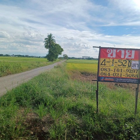 ขายที่ดิน 4-1-52 ไร่ ติดคลองชนประทาน    บ้านท่าตะเคียน  จอมทอง  เมืองพิษณุโลก  ZK516