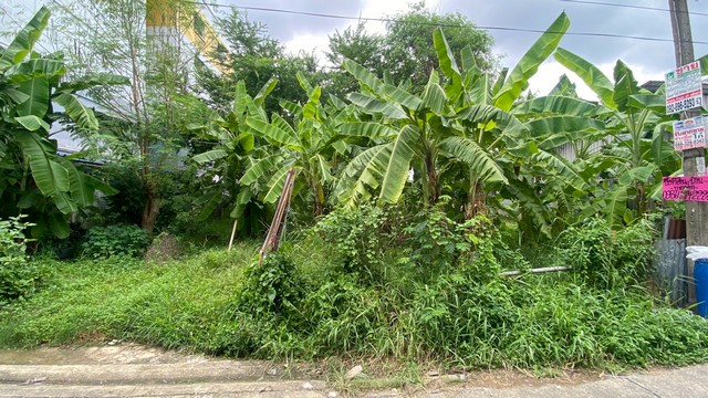 ขายที่ดิน 382 ตารางวา   ซอยคู้บอน 6 แยก 4   รามอินทรา  บางกะปิ     ZT808