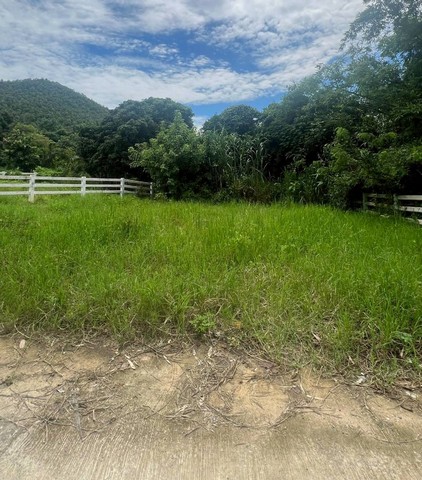 ขายที่ดิน 65ตรว. 490,000บาท ฟรีโอน วิวเขา ถนนคอนกรีต น้ำประปา ไฟฟ้า ใกล้ถนนสันกำแพง-แม่ออน ต.ออนใต้ อ.สันกำแพง เชียงใหม่