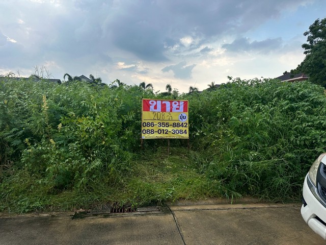 ขายที่ดิน‭ ‬ซอยพุทธมณฑลสาย 2 ซอย 12 เนื้อที่ 208 ตารางวา   บางไผ่  บางแค