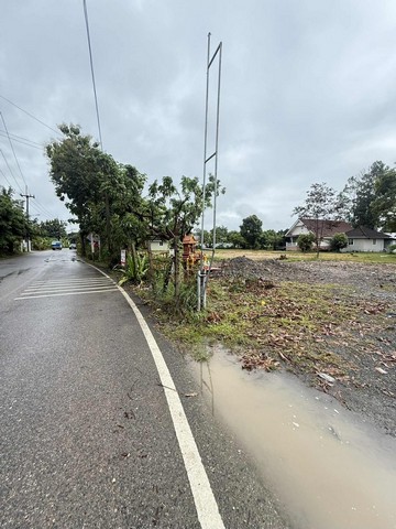 ขายที่ดิน 55ตรว. 750,000บ. ถนน น้ำ ไฟฟ้า ใกล้ตลาดป่าเหมือด ซอยบ้านแม่ดู บ้านทุ่งยาว ต.สันทรายหลวง อ.สันทราย เชียงใหม่ขายที่ดินเปล่า โฉนดครุฑแดง เนื้อที่ 55 ตรว.ขายราคา 750,000 บาท ค่าโอนคนละครึ่ง ต่อรองได้ที่ดินติดถนนสาธารณะลาดยาง 2 เลนหน้ากว้าง 9 ม. ลึก 28 ม.น้ำประปา ไฟฟ้า ผ่านหน้าแปลงพิกัด : ซอยบ้านแม่ดู บ้านทุ่งยาว ต.สันทรายหลวง อ.สันทราย เชียงใหม่ที่ดินอยู่ในเขตชุมชน การเ