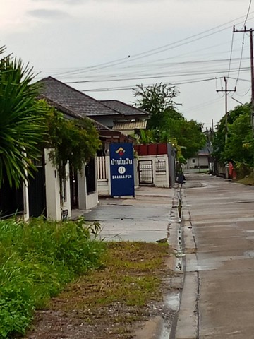 ขายที่ดินเมืองสระบุรี แปลงเล็ก1งาน60ตรว.ซอยเทศบาล5ดาวเรือง ใกล้วัดดาวเรือง ใกล้สบว.ใกล้เกตุพิชัย