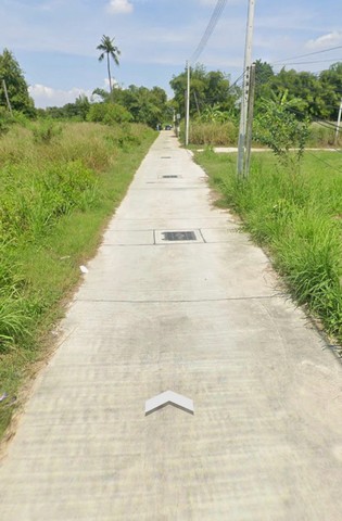 ขายที่ดินเปล่า ซอยหนองเพนียงพัฒนา 2  ตำบลนาป่า  เนื้อที่ 200 ตารางวา    เมืองชลบุรี