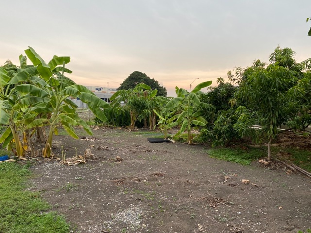 ่อ่อนนุช Airport link ลาดกระบัง 2 กม. ให้เช่าที่ดินถมแล้ว ทำร้านกาแฟ 100 ตรว. 400 ตรม. ติดคลอง ลาดกระบัง1-9