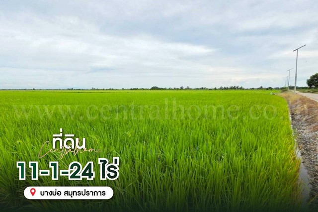 ที่ดินเปล่า 11-1-24 ไร่ คลองนิยมยาตรา บางบ่อ ทำเลดี 