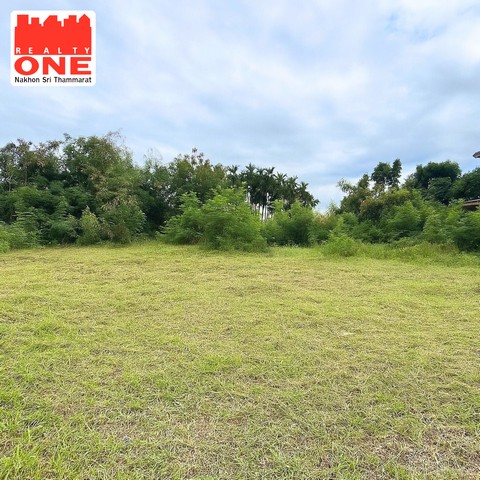 ที่ดินเปล่า เนื้อที่  95.6 ตารางวา ต.ท่าวัง ถนนราชนิคม - ซอยเเม่พร้อม