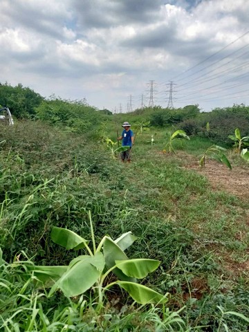 ขายที่ดิน 100 ตรว. ใกล้โลตัสคลอง7 ธัญบุรี 1,500,000 บาท อ.ธัญบุรี จ.ปทุมธานี