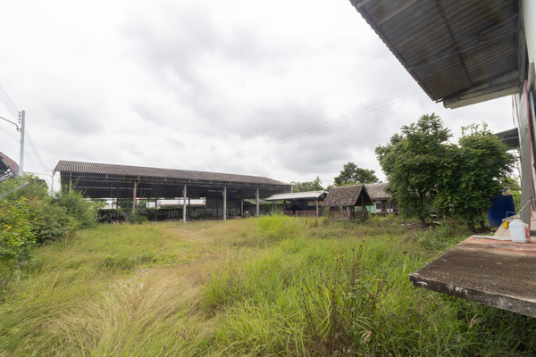 ขายอาคาร สำนักงาน โชว์รูม สูง 5 ชั้น ติดถนนโรจนะ(ทล.309) วังน้อย อยุธยา