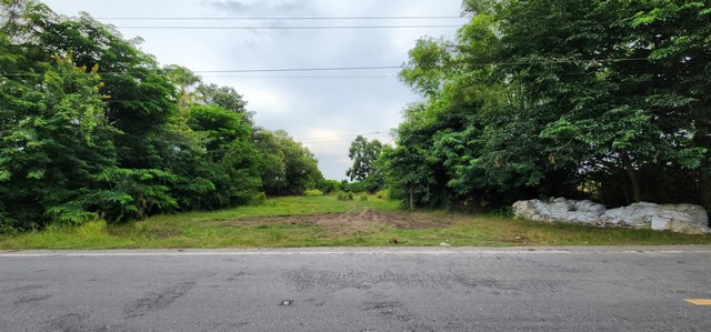 ขายที่ดินหนองเสือ คลอง 11 ขนาด 30 ไร่ ติดถนนลาดยาง เหมาะทำแปลงจัดสรรขาย ทำดกดัง โรงงาน หรือซื้อเก็บไว้แบ่งแปลงเล็กๆขายได้