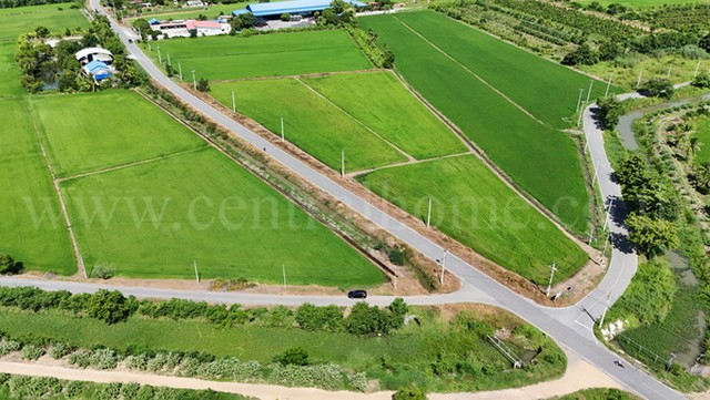 ขายด่วน ที่ดินเปล่า 3 แปลง 22 ไร่ 66 ตารางวา ย่านยาว สามชุก สุพรรณบุรี