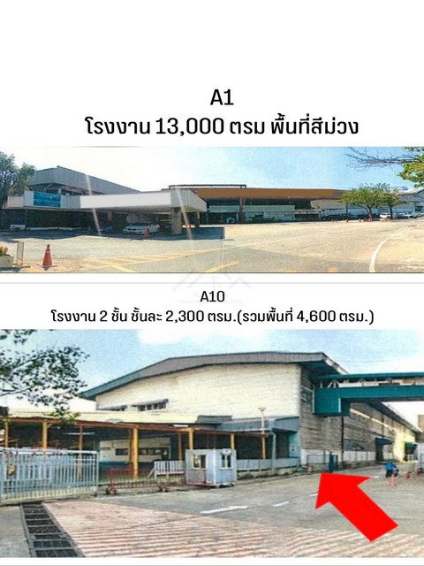 ให้เช่าอาคารสำนักงาน พร้อมโรงงาน - โกดัง ปู่เจ้า สมุทรปราการ พื้นที่ 13,000 ตร.ม. และ 4,600 ตร.ม. ทางเข้าติดถนนปู่เจ้าสมิงพราย