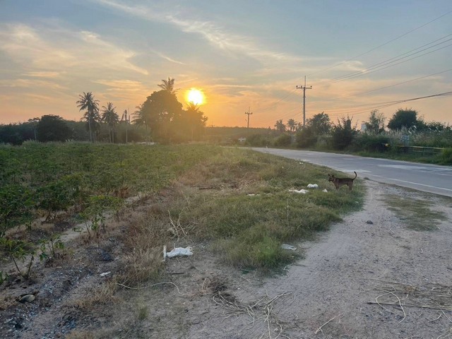 ขายที่ดินบางละมุงชลบุรี ขายที่ดินเนื้อที่ 147 ไร่ พื้นที่สีเหลือง ไฟฟ้า 3 เฟส ถนนกว้างรถเทเลอร์เข้าได้