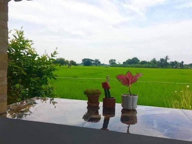 บ้านสวนพร้อมบ่อปลา บรรยากาศร่มรื่น เหมาหมดทั้งบ้าน โซนแม่ริม