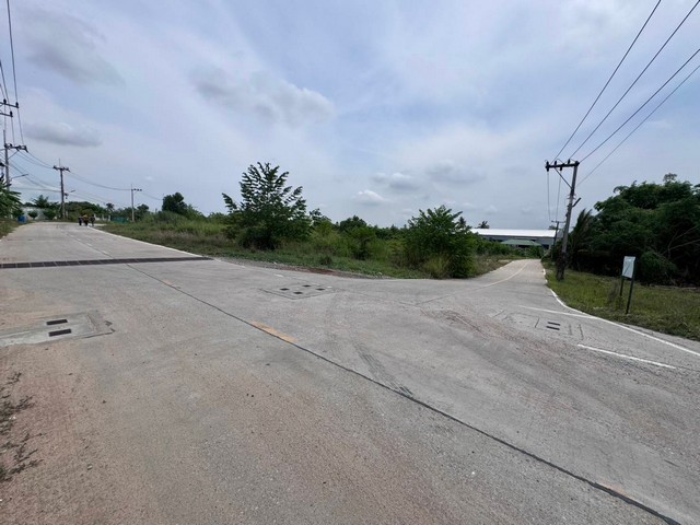 ขายที่ดินศรีราชาชลบุรี ขายที่ดินเนื้อที่ 12-3-69 ไร่ พื้นที่สีเหลือง