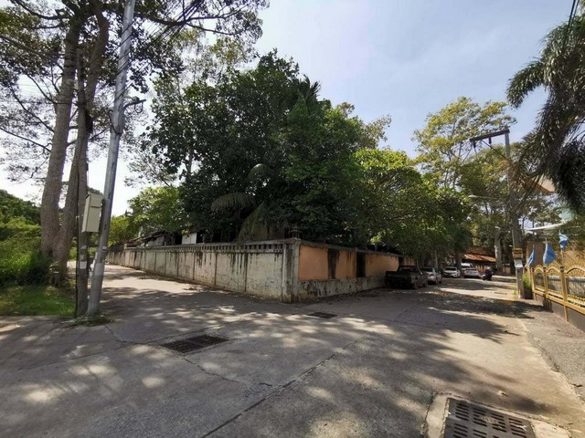 ขาย บ้านเดี่ยว แก้วมงคล นน สุขุมวิท บางละมุง ชลบุรี PTT00413