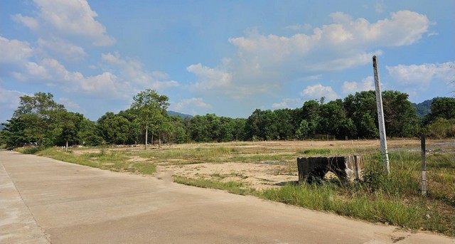 ให้เช่าที่ดินเปล่าแปลงสวย ทำเลดี ใกล้แหล่งชุมชน ตำบลคึกคัก อำเภอตะกั่วป่า จังหวัดพังงา