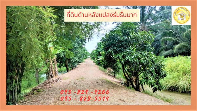 ขายถูกที่ดิน 49-2-98 ไร่ มีรายได้ทุกเดือน ติดถนนคอนกรีต 4 เลนเลียบคลอง11 น้ำไฟฟ้าพร้อมทำเกษตรหรือแบ่งแปลงขาย อ.หนองเสือ ปทุมธานี