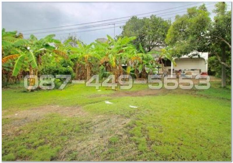 ขายที่ดินทำเลศักยภาพ อ.พนัสนิคม จ.ชลบุรี เนื้อที่ 4 ไร่ 17 ตร.วา พร้อมบ้านและสิ่งปลูกสร้าง เหมาะอยู่อาศัย ทำธุรกิจ หรือการลงทุนในอนาคต