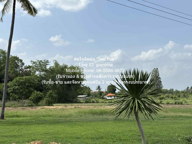 ขายด่วน! ที่ดิน //ถูกสุด//ขายที่ดินเปล่าติดถนน (ระดับเสมอถนน) 7 ไร่ (ใกล้ท่าอากาศยานโพธาราม) ต.เขาชะงุ้ม อ.โพธาราม ราชบุรี ราคา 3,010,000 บาท (โอนฟรี) 0 ตร.ว. 0 NGAN 7 RAI  3010000 BAHT ดีงาม