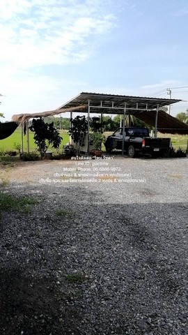 บ้าน ขายที่ดินติดถนน มีบ้านสวนผลไม้ มีบ่อปลา และมีโกดังเก็บของ พร้อมโรงจอดรถ 1-3-79 ไร่ ต.บึงน้ำรักษ์ อ.บางน้ำเปรี้ยว จ.ฉะเชิงเทรา ราคา 3.5 ล้านบาท  3500000 THB   one price เป็นที่ดินทรงสี่เหลี่ยม พร้อมสิ่งปลูกสร้าง (บ้าน+โกดัง+ห้องน้ำ) ติดถนน 2 ด้าน