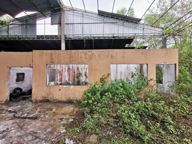 ขาย โรงงาน พนัสนิคม ซอย บ้านหนองยาง 26 โรงงาน ชลบุรี