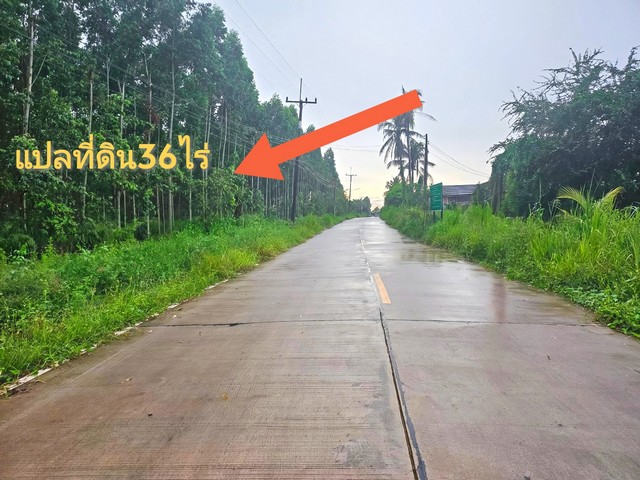 ขายที่ดินพร้อมสิ่งปลูกสร้างชลบุรีราคาถูก ที่ดินหนองอิรุณบ้านบึงชลบุรี ผังสีเหลืองeec บนเนื้อที่  36  ไร่ (รวมสิ่งปลูกสร้างประมาณ  6  ไร่ )