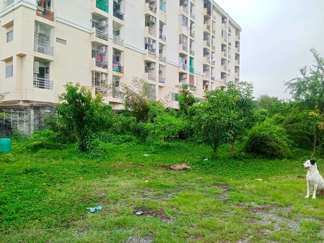 ขายที่ดิน 3ไร่ 1งาน 46ตรว.ถ.สุขุมวิท77 ศรีนครินทร์ MRTศรีนุช 800 ม. อ่อนนุช40-50  ธัญญะ พาร์ค 1.9 กม. กว้าง 6 ม. ตลาดศรีเอี่ยม 900 ม.