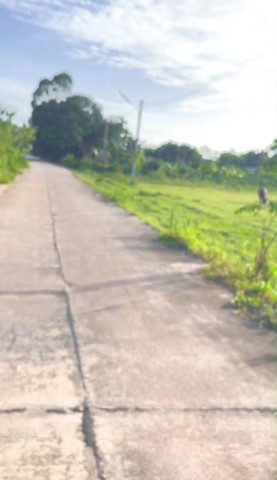 ขายที่ดินหนองบอนแดงบ้านบึงชลบุรีราคาถูก พื้นที่สีเหลือง พื้นที่  6-3-98  ไร่