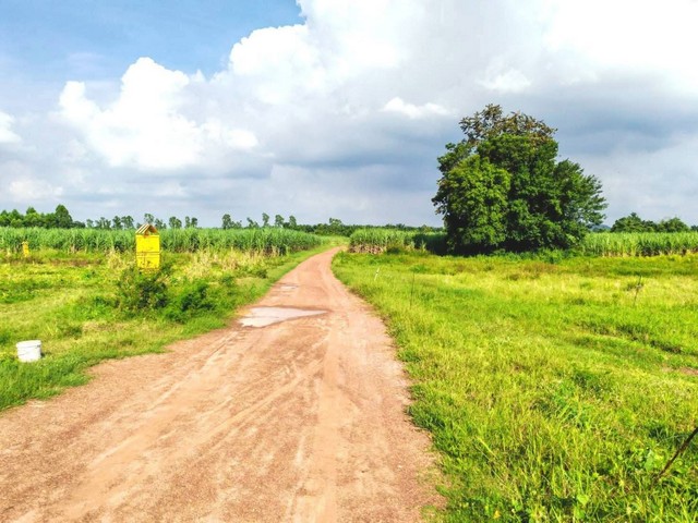 ขายที่ดินเกาะจันทร์ชลบุรีราคาถูก ขายที่ดินชลบุรีราคาถูก ผังสีเหลือง บนเนื้อ   10  ไร่