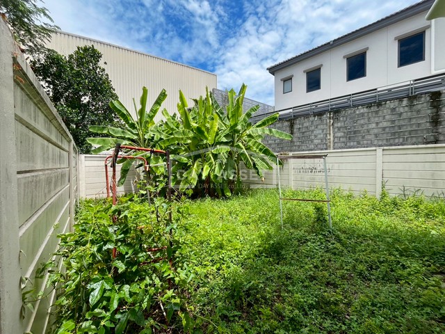 ขายบ้านเดี่ยว 2 ชั้น หมู่บ้านพฤกษาวิลเลจ 5 บางใหญ่  พร้อมพื้นที่ใช้สอยทั้งในและรอบตัวบ้าน เนื้อที่ 75.6 ตร.ว. ขายเพียง 3,390,000 ล้านบาท