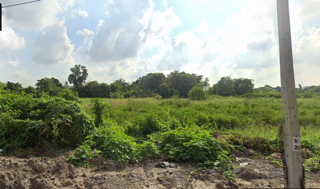 ขายที่ดิน 127.6 ตารางวา ซอยพิงคนคร 5  ใกล้รถไฟฟ้าสายสีชมพู แขวงทุ่งสองห้อง เขตหลักสี่ กรุงเทพมหานคร