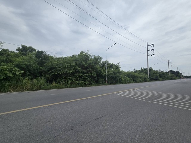 ขายที่ดินเปล่า 8-3-73.3 ไร่ ติดถนนใหญ่ ใกล้วัดเสด็จ เมืองปทุมธานี เพียง 90 ลบ.