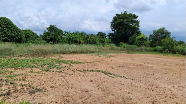 ขายที่ถมแล้ว ขายถูก ใกล้ถนนทางหลวง 3025 ( ท่าข้าม-สระสี่เหลี่ยม ) เนื้อที่  200  ตรว. ต.ท่าข้าม อ.พนัสนิคม จ.ชลบุรี