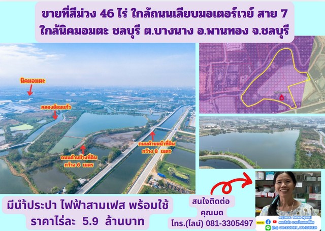 ขายที่สีม่วง 46 ไร่ ใกล้ถนนเลียบมอเตอร์เวย์ สาย 7 ใกล้นิคมอมตะ ชลบุรี  ต.บางนาง อ.พานทอง จ.ชลบุรี