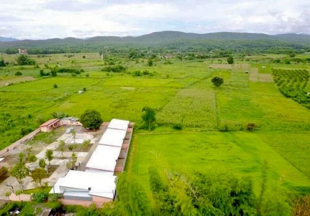 ขายด่วนที่ดินสวย ทำเลดี ยหแปลง โซนแม่แตง           