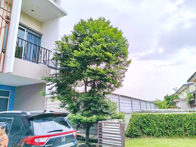 โครงการแสนสิริ 3นอน 2น้ำ ติวานนท์-แจ้งวัฒนะ หัวมุมให้เช่า ทาวน์โฮม 2 ชั้น 2แอร์ โรบินสัน ศรีสมาน 4.5กม. เซ็นทรัล แจ้งวัฒนะ 3.8 กม.