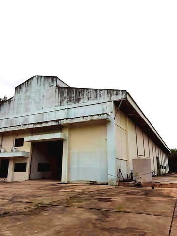 ขายโรงงานนิคมพัฒนาระยอง เนื้อที่ 24 ไร่เศษ โรงงานลวดเก่า เจ้าของเลิกกิจการ ที่ดินสีม่วงลาย 