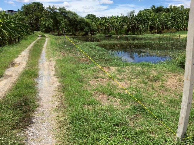 ที่ดินเปล่า 3 แปลง (เนื้อที่รวม 1-0-77.5 ไร่)เนื้อที่ 477.5 ตร.ว เพชรเกษม ซ. 124 ซอย 6 อ้อมน้อย สมุทรสาคร .