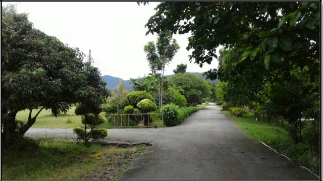 ขายที่ดิน115ไร่ 55ลบ. ผ่อนได้ ฟรีโอน บ้านยุโรป3หลัง สาธารณูปโภคครบ เหมาะทำรีสอร์ท คาเฟ่ ที่เที่ยว เกษตร ใกล้เทศบาล ต.ทากาศ อ.แม่ทา ลำพูนเอกสารที่ดินรวม 115ไร่ ต.ทากาศ อ.แม่ทา จ.ลำพูน- พื้นที่ครุฑแดง นส4.จ และ ครุฑเขียว น.ส.3ก. รวม 92 ไร่- พื้นที่งอกครอบครองประมาณรวม 23 ไร่*** ขายไร่ ละ 478,260 บาท ฟรีโอนทั้งหมด*** ราคาขายรวม 55,000,000 บาท*** ผ่อนได้ถึง 1.5 ปีเหมาะทำรีสอร์ท คาเฟ่ ที่ท่องเที่ยว เ