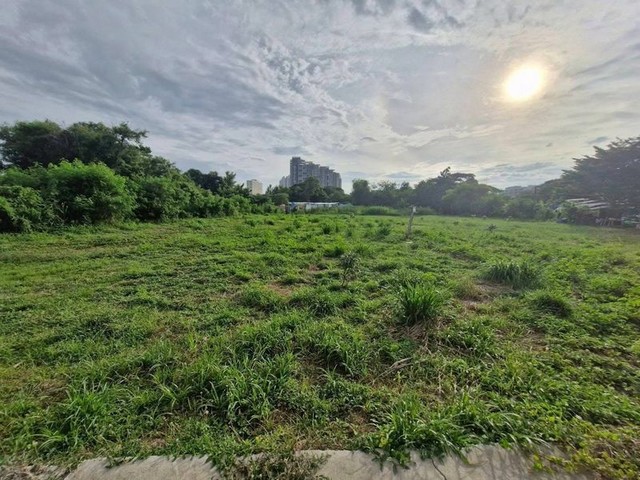 TEL:088-559 5199 คุณเอLine:https://line.me/ti/p/C0eGe0whLXขายที่ดินฝั่งทะเล ห่างหาดจอมเทียน เพียง2 กิโลเมตรที่ดินเปล่าพัทยา พิกัด ถนนชัยพฤกษ์ราคา 20,000,000 / ไร่ราคาโดยรวม 40 ล้านบาทชื่อไทย โอน 50/50เ️นื้อที่ 2 ไร่(800ตรม.)จุดเด่นทำเล:- เพียง 2 กม. จาก หาดจอมเทียน- ติดถนนใหญ่ เดินทางสะดวก- พื้นที่สีแดง เหมาะลงทุนพัฒนาโครงการ / โรงแรม / คอนโด / รีสอร์ท- ทำเลศักยภาพสูง เหมาะสำหรับการลงทุนระยะยาวT : A15(408)