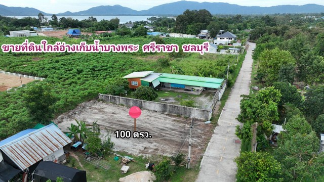 ขายที่ดิน ใกล้อ่างเก็บน้ำบางพระ วิวภูเขาสวย ศรีราชา ชลบุรี ไฟฟ้า ประปา สาธารณูปโภคครบ เหมาะสร้างบ้านอยู่อาศัย 100 ตารางวา