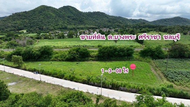 ขายที่ดิน บางพระ ศรีราชา ชลบุรี ติดถนนสาธารณะ 120 เมตร สาธารณูปโภคครบ เหมาะสร้างบ้านอยู่อาศัย ทำคาเฟ่ วิวเขาสวย 1-3-08 ไร่