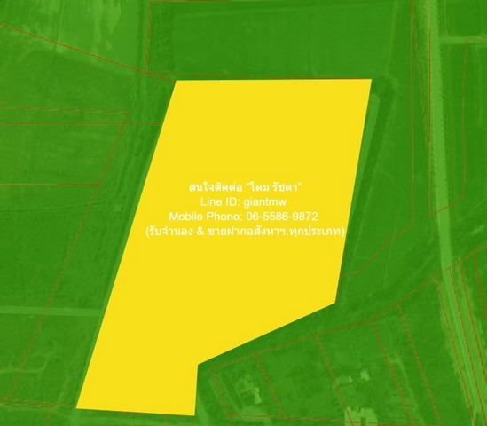 ที่ดิน ขายบ้านพร้อมที่ดินสวนมะพร้าว มะม่วง บึงพระ จ.พิษณุโลก ติดถนนเลี่ยงเมืองพิษณุโลก 56-0-17 ไร่ ราคา 199 ล้านบาท ใกล้กับ ท่าอากาศยานพิษณุโลก 199000000 THB  ขนาดเท่ากับ 17 sq.wa 0 งาน 56 Rai ราคาคุ้ม