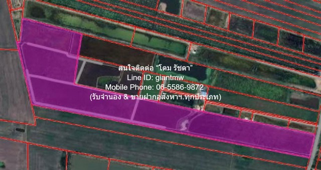 ขายด่วน! ที่ดิน ขายที่ดินทุ่งนา 103-0-44 ไร่ ศรีจุฬา อ.เมืองนครนายก นครนายก ราคา 31 ล้านบาท  พื้นที่เท่ากับ 44 ตรว. 0 ngan 103 ไร่  31000000 BAHT ใกล้กับ วัดศรีจุฬา และห่างฟิวเจอร์พาร์ครังสิต ประมาณ 73 กม. โครตถูก