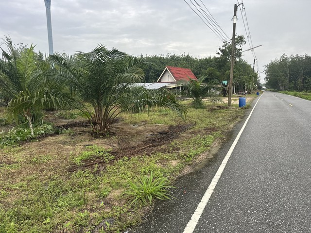 ขายที่ดินติดถนน แถวหนองมะปริง แม่น้ำคู้ อำเภอปลวกแดง จังหวัดระยอง เนื้อที่ 11 ไร่ 3 งาน